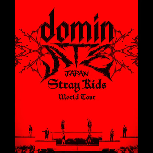 STRAY KIDS - WORLD TOUR 'DOMINATE JAPAN' (BLU-RAY) STANDARD